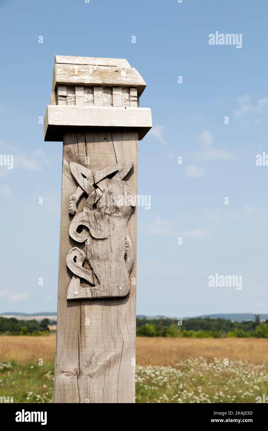 Una colonna di legno in stile anglosassone a Yeavering vicino Wooler, Northumberland. Foto Stock