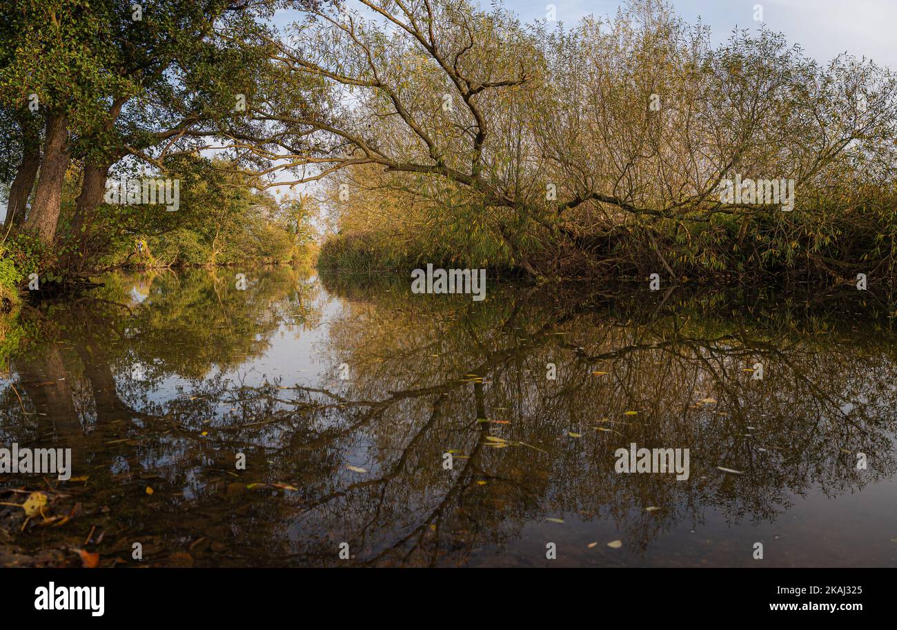 Bellezza di Dedham vale al confine Essex-Suffolk. Area di straordinaria bellezza naturale. River Stour. Foto Stock