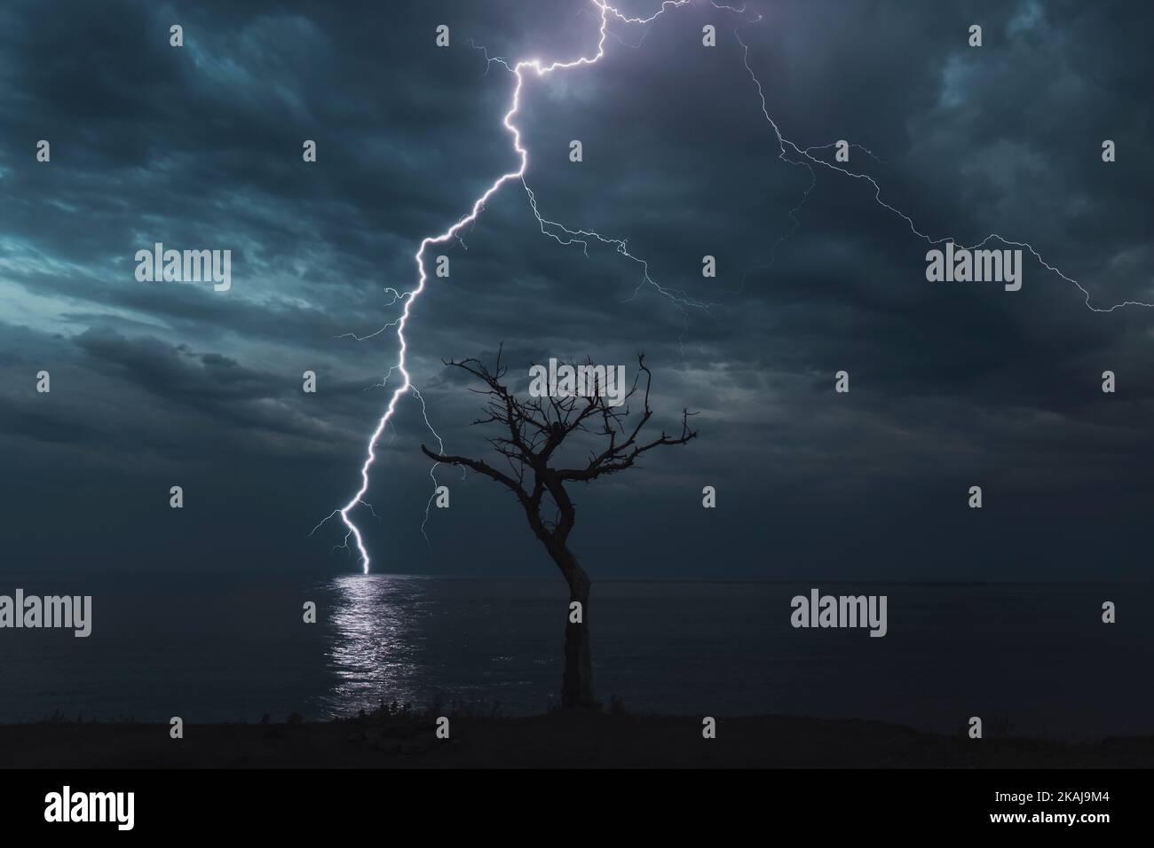 segno dall'alto, un fulmine colpisce il mare sullo sfondo di un albero asciutto e solitario Foto Stock