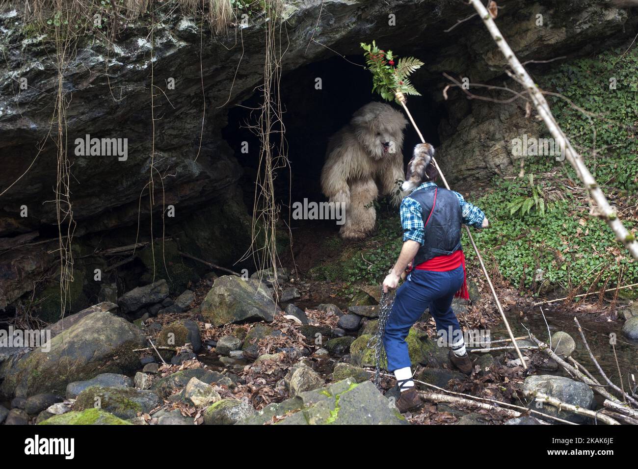 Il maestro cerca di rimuovere l'orso (un altro dei personaggi principali della vijanera) da una grotta nella foresta per catturarlo e ucciderlo all'interno del carnevale invernale della festa di Vijanera il 8 gennaio 2017 a Silio, nella provincia della Cantabria, in Spagna. (Foto di Joaquin Gomez Sastre/NurPhoto) *** Please use Credit from Credit Field *** Foto Stock