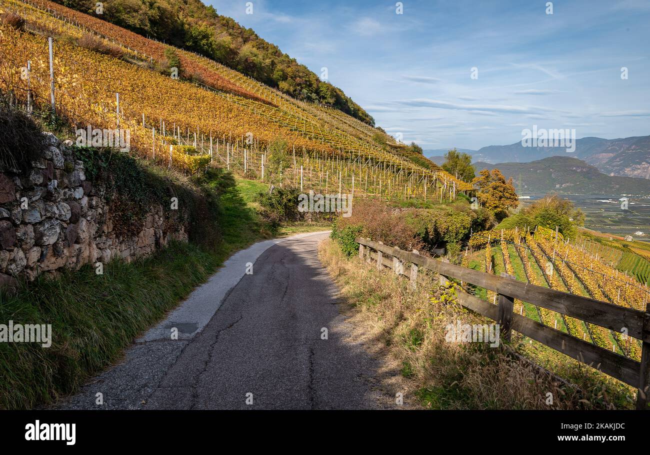 Paesaggio autunnale dei vigneti sulla strada del vino in Alto Adige, provincia di Bolzano - Italia settentrionale, Europa. Southern Wine Route - stagione autunnale. Foto Stock