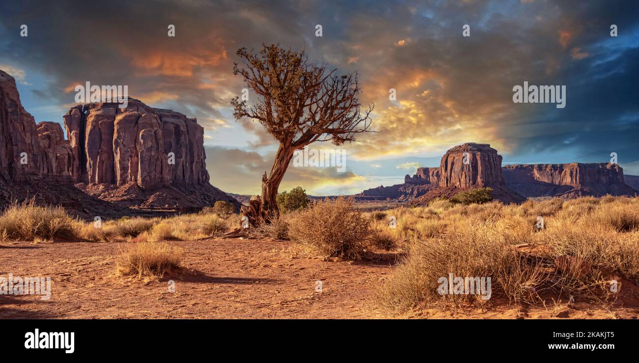 Laussay Foto Stock