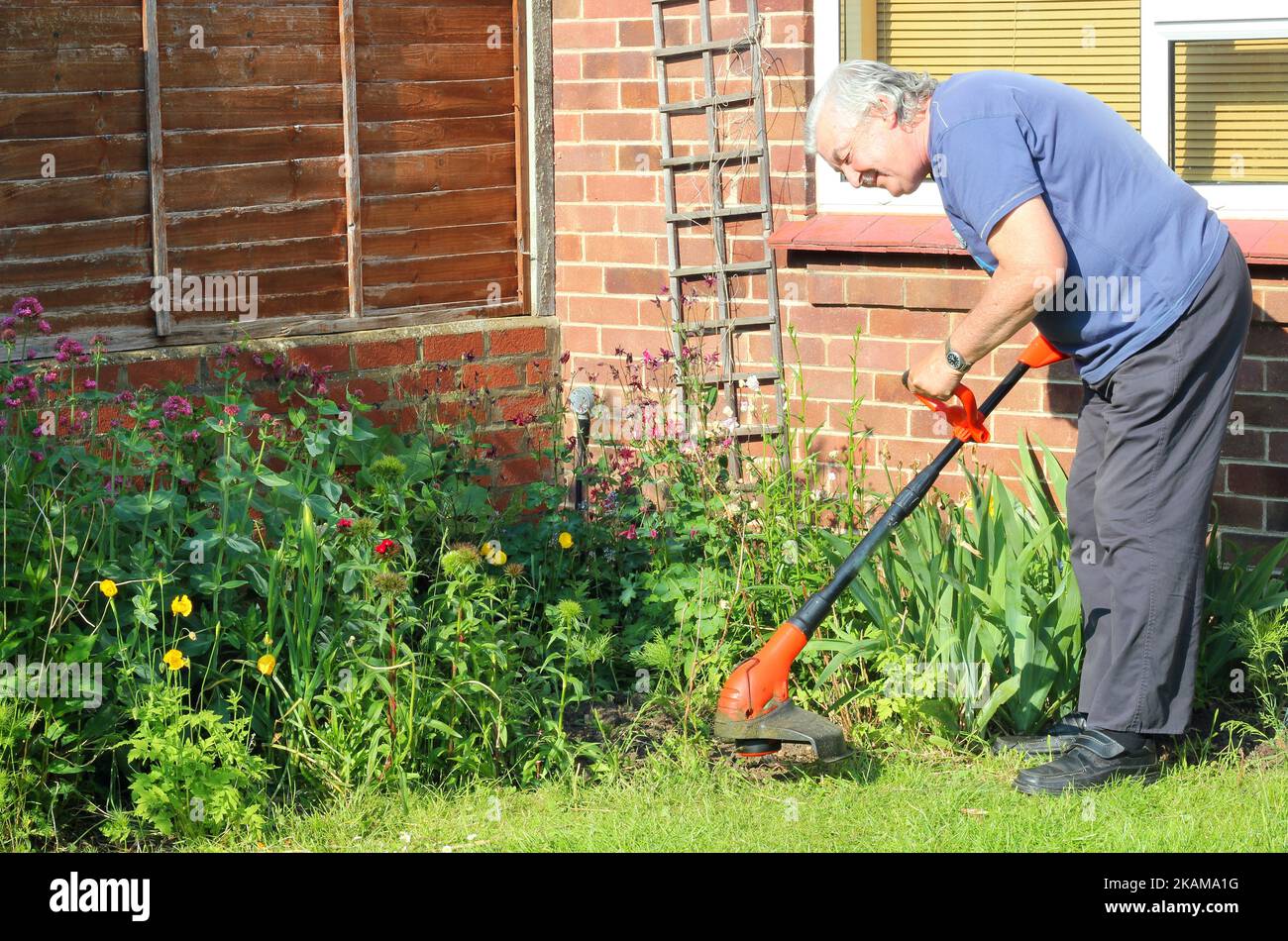 Uomo anziano felice spogliando il suo giardino. Uso di stimmer per tagliare erba o erbacce. Foto Stock