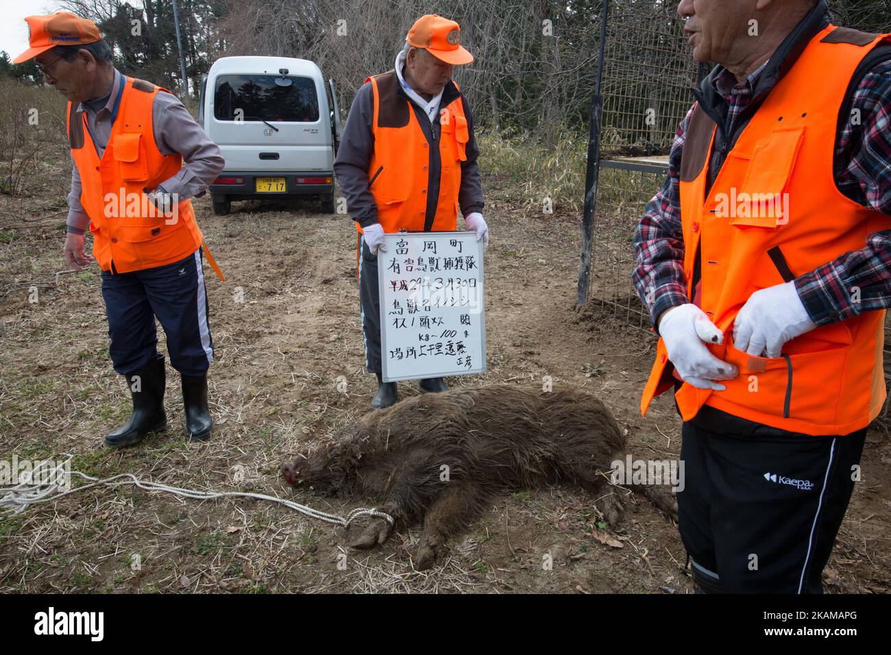 Il membro dei cacciatori di animali della città di Tomioka scatta una foto del cinghiale in un'area residenziale vicino alla centrale nucleare di Fukushima Daiichi (TEPCO), zampillata durante lo tsunami, nella città di Tomioka, nella prefettura di Fukushima, Giappone, il 30 marzo 2017. (Foto di Richard Atrero de Guzman/NurPhoto) *** Please use Credit from Credit Field *** Foto Stock