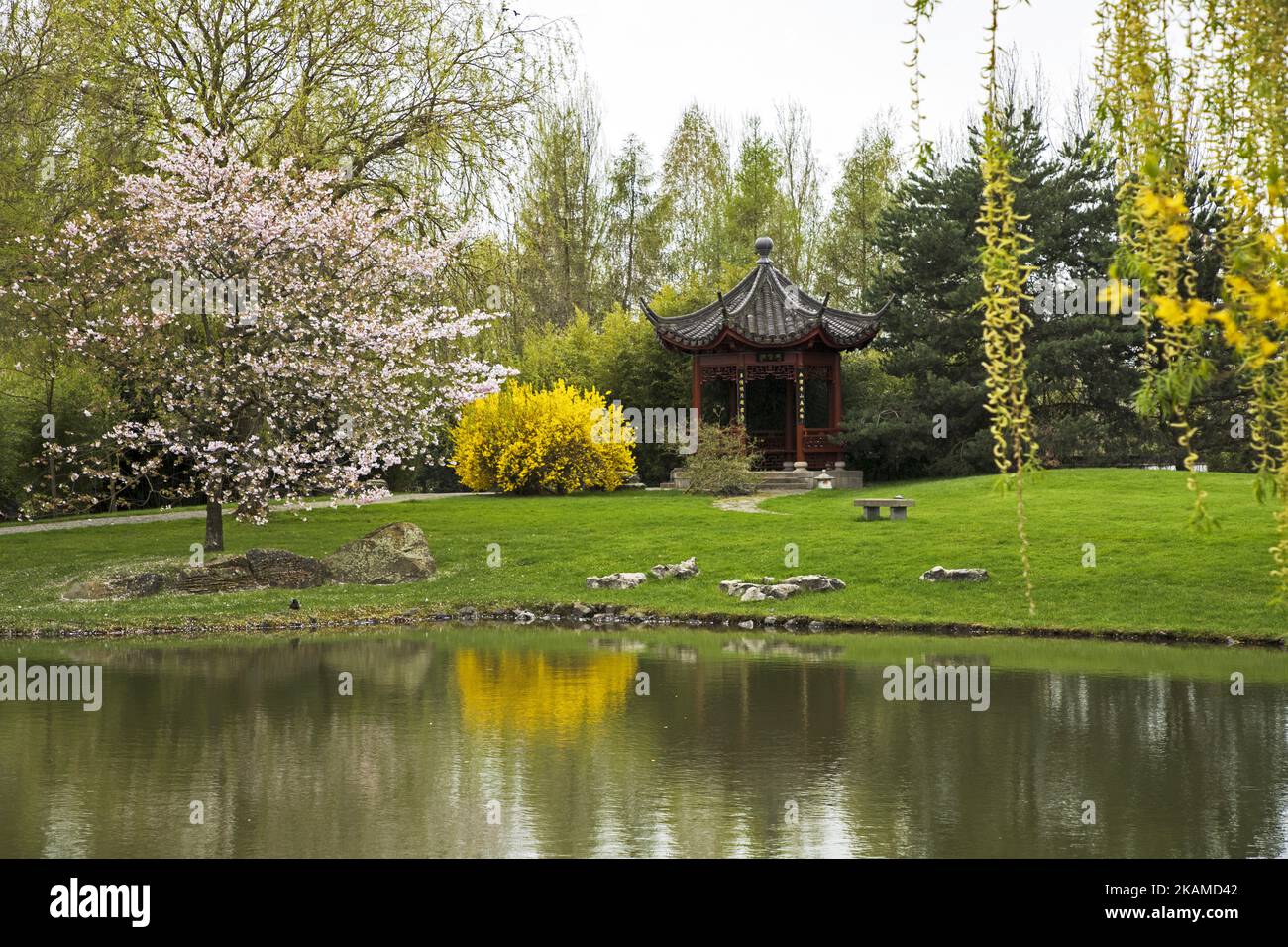 Il giardino cinese è raffigurato durante un'anteprima stampa dell'IGA (International Garden Exhibition) 2017 a Berlino, in Germania, il 7 aprile 2017. Sono in corso gli ultimi accordi per la mostra che si aprirà dal 13 aprile al 15 ottobre 2017 nel quartiere di Marzahn-Hellersdorf e ospiterà, secondo le aspettative degli organizzatori, circa 2 milioni di visitatori. (Foto di Emmanuele Contini/NurPhoto) *** Please use Credit from Credit Field *** Foto Stock