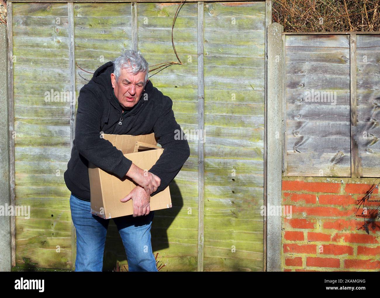 Uomo anziano o anziano che solleva una scatola pesante e si ferisce. Scatola troppo pesante o peso di sollevamento errato. Foto Stock