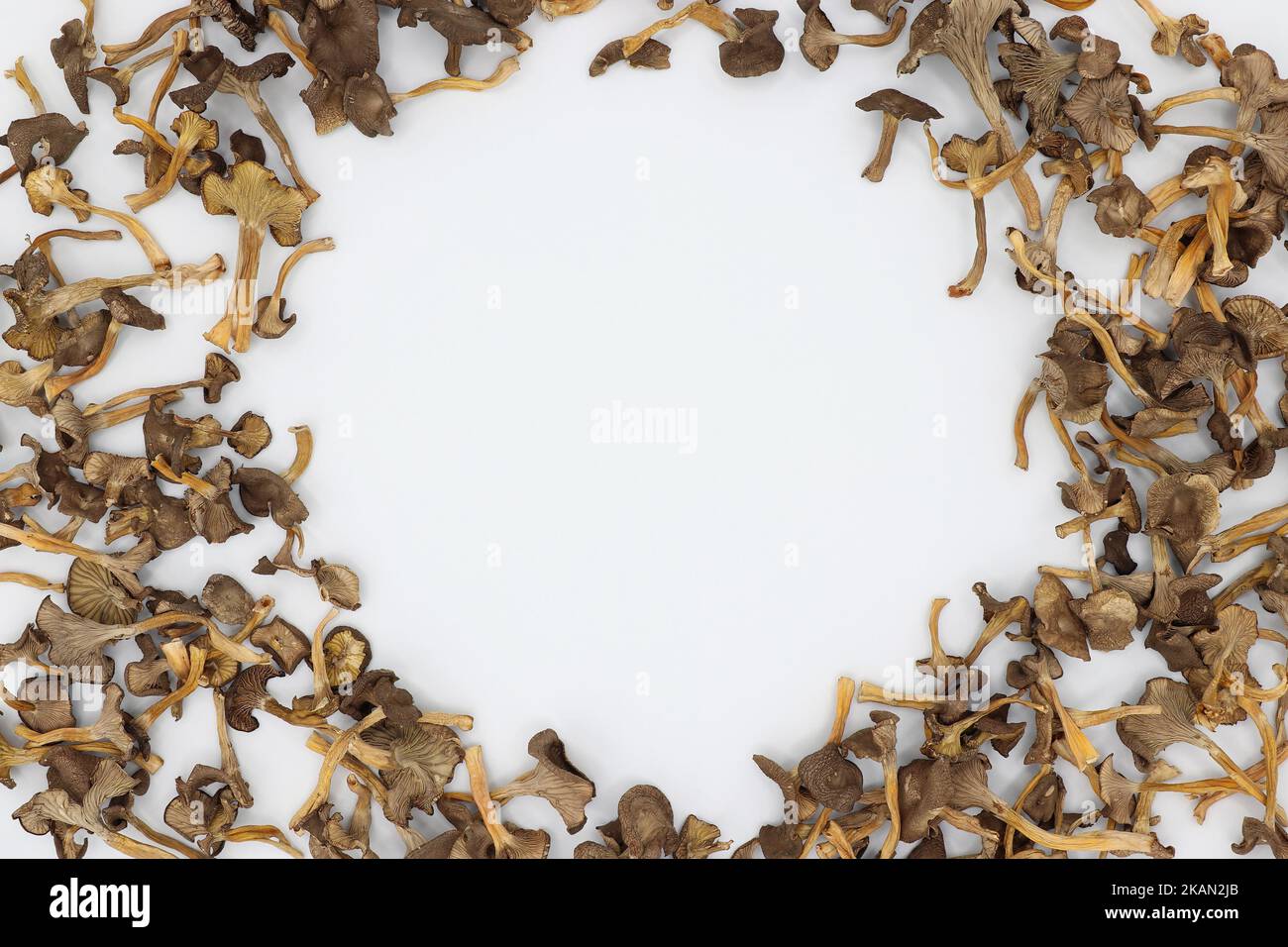 Cornice rotonda di funghi finferli essiccati. Sfondo grigio chiaro. Al centro è presente uno spazio per un'iscrizione o un logo. Yellowfoot. Foto Stock