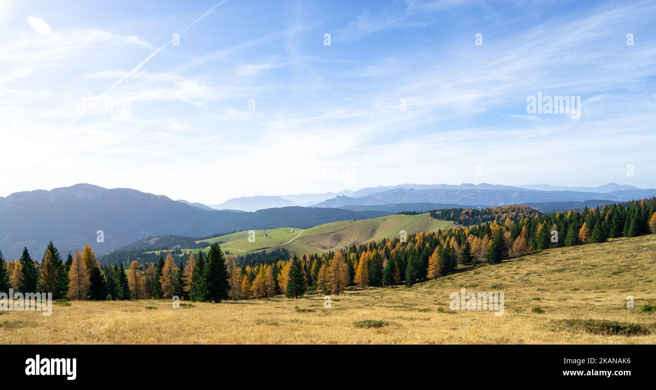 Vista dalla cima Mandriolo Larici Altopiano di Asiago Foto Stock