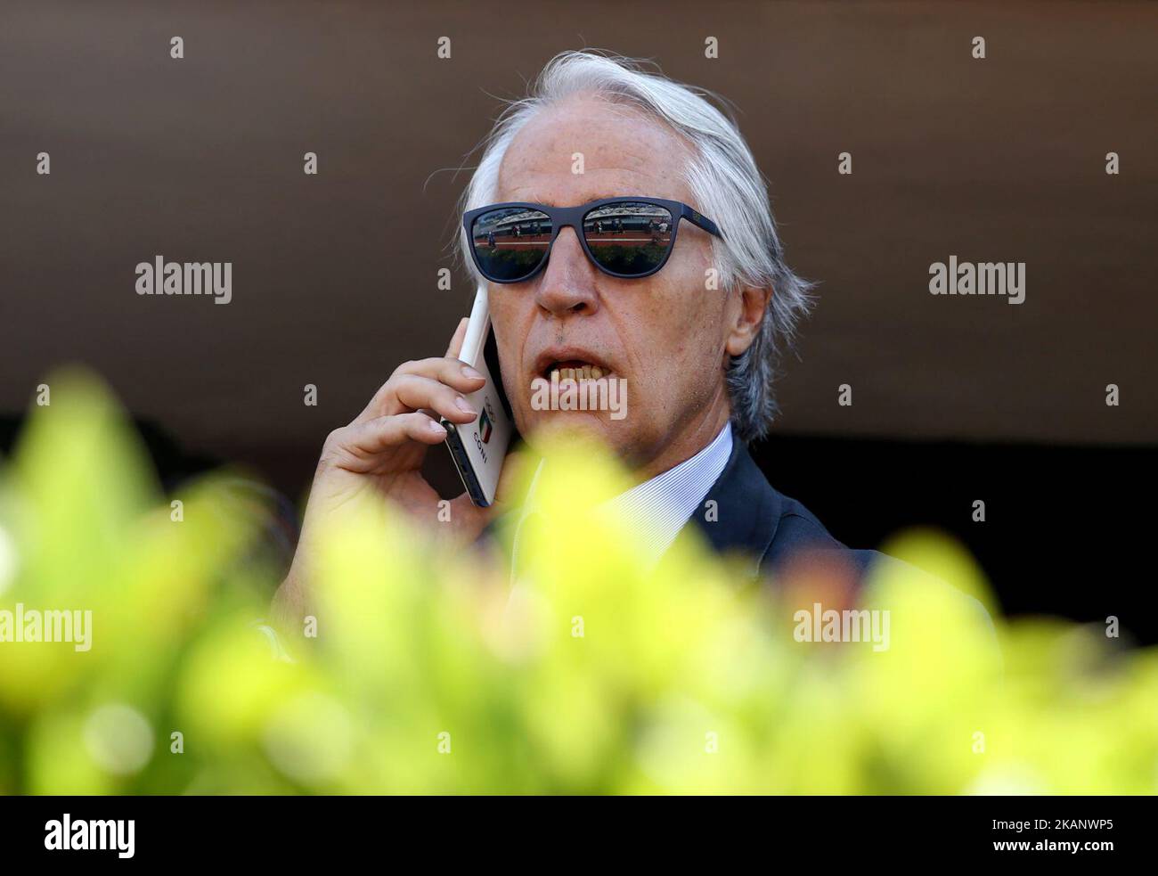 Il Presidente del Comitato Olimpico Nazionale Italiano Giovanni Malago durante il concorso internazionale di nuoto Trofeo Settecolli alle piscine del Foro Italico a Roma il 23 giugno 2017. Foto Matteo Ciambelli / NurPhoto (Foto di Matteo Ciambelli/NurPhoto) *** si prega di utilizzare il credito del campo di credito *** Foto Stock