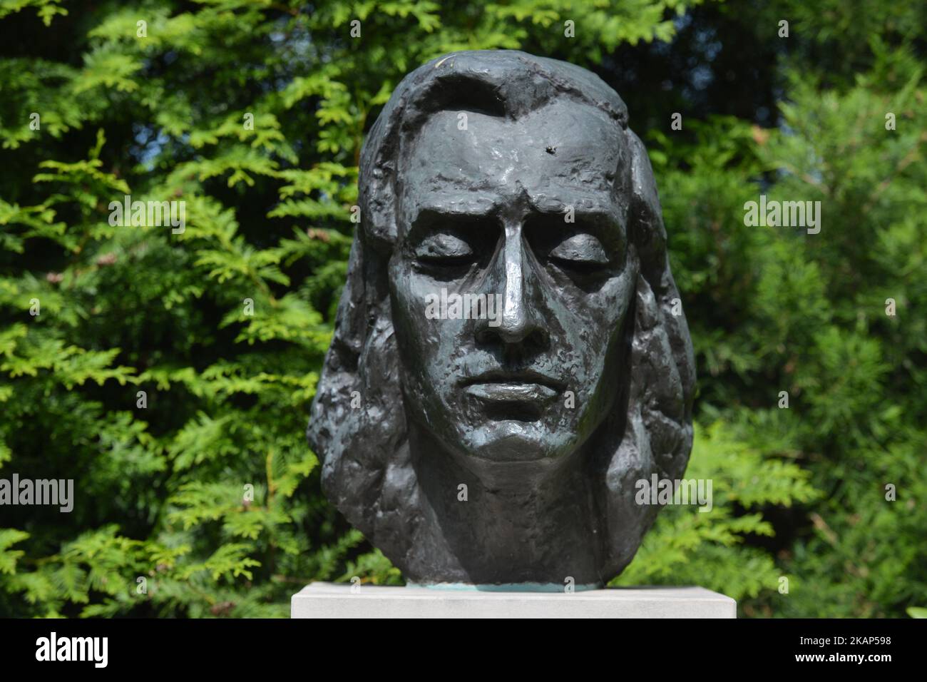 Una vista del busto di Fryderyk Chopin di Zofia Wolska, visto all'interno del parco che circonda il museo natale di Chopin dedicato al compositore, situato in un piccolo villaggio di Zelazowa Wola, 46km km a ovest di Varsavia. Venerdì 7 luglio 2017 a Varsavia, Polonia. (Foto di Artur Widak/NurPhoto) *** Please use Credit from Credit Field *** Foto Stock