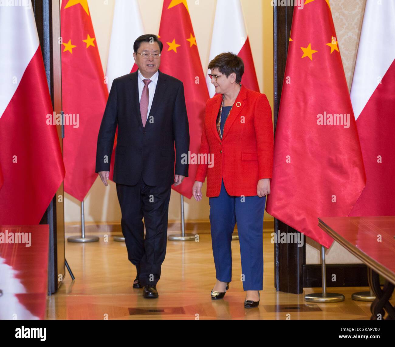 Primo Ministro della Polonia Beata Szydlo e Presidente del Comitato permanente del Congresso Nazionale del Popolo Zhang Dejiang alla Cancelleria del primo Ministro a Varsavia, Polonia il 13 luglio 2017 (Foto di Mateusz Wlodarczyk/NurPhoto) *** Please use Credit from Credit Field *** Foto Stock