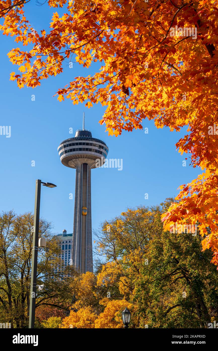 Cascate del Niagara, Ontario, Canada - Ottobre. Skylon Tower, autunno acero foglie sul cielo blu. Fogliame autunnale a Niagara Falls City. Foto Stock