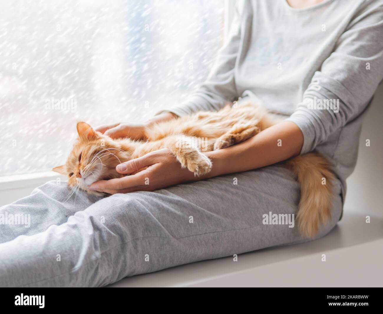 Gatto zenzero carino giacente sulle ginocchia della donna. Donna in pajama grigio colpi di soffice animale domestico. Accogliente mattina a casa mentre la neve sta cadendo fuori. Foto Stock