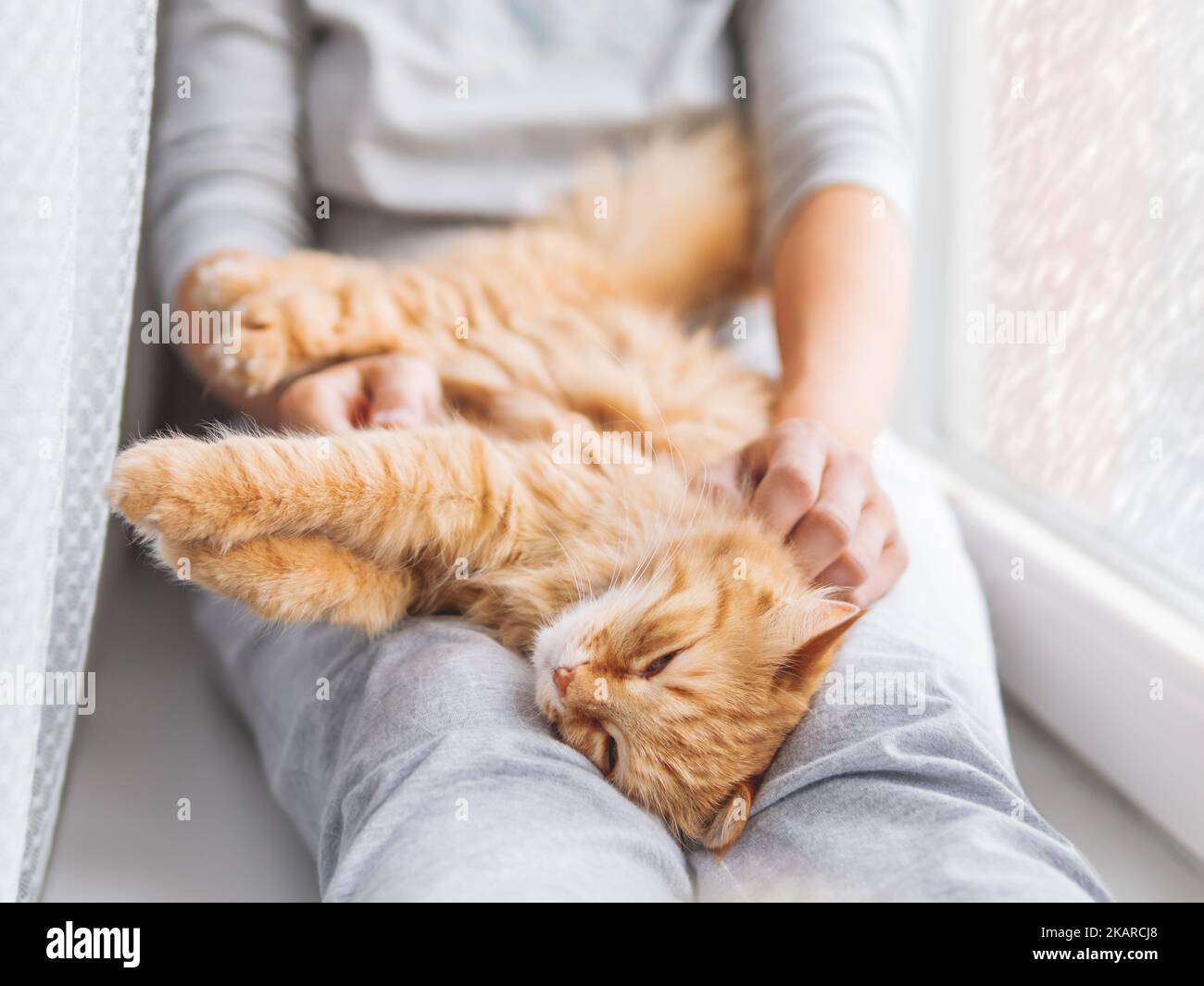 Gatto zenzero carino giacente sulle ginocchia della donna. Donna in pajama grigio colpi di soffice animale domestico. Accogliente mattina a casa mentre la neve sta cadendo fuori. Foto Stock