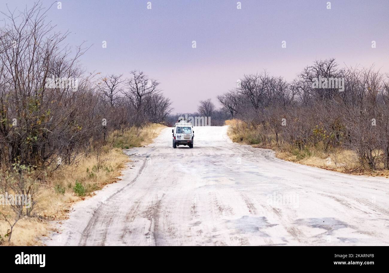 Africa Road - un'auto che guida lungo una strada sterrata non asfaltata in prima serata, Moremi Game Reserve, Botswana Africa. Viaggi in Africa. Foto Stock