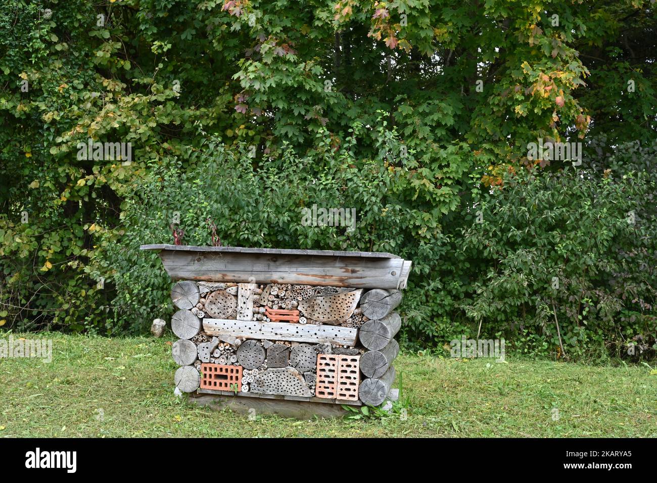 Insetto hotel ai margini di una foresta. E' fatto di diversi tipi e forme di legno. Foto Stock