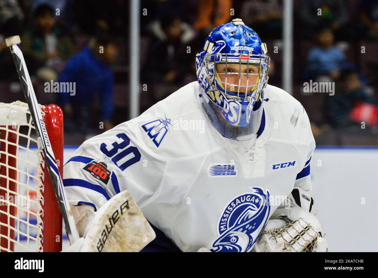 Emanuel Vella #30 della Mississauga Steelheads si prepara per un colpo contro le Erie Otters il 15 novembre 2017 all'Hershey Centre di Mississauga, Ontario, Canada. (Foto di Anatoliy Cherkasov/NurPhoto) Foto Stock