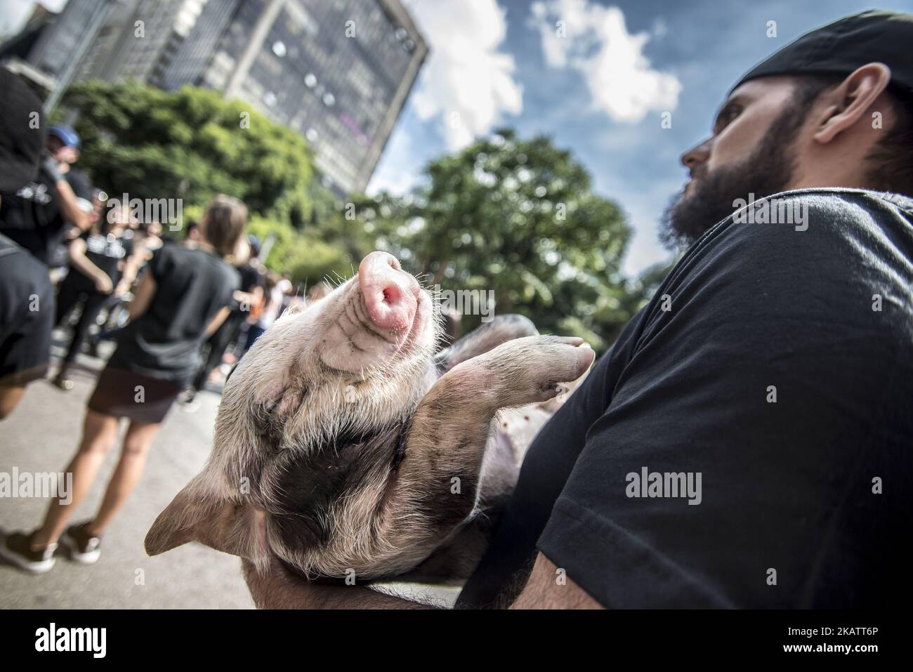 Organizzata ogni anno dall'organizzazione internazionale per i diritti degli animali Igualdad Animal (Animal Equality), Manifestazione di protesta con più di 400 attivisti e sostenitori dei diritti degli animali indossato nero e tenuto foto di animali e altri aiuti visivi per attirare l'attenzione sulla sofferenza e l'uccisione deliberata di animali il 11 dicembre 2017 a San Paolo, in Brasile. (Foto di Cris FAGA/NurPhoto) Foto Stock