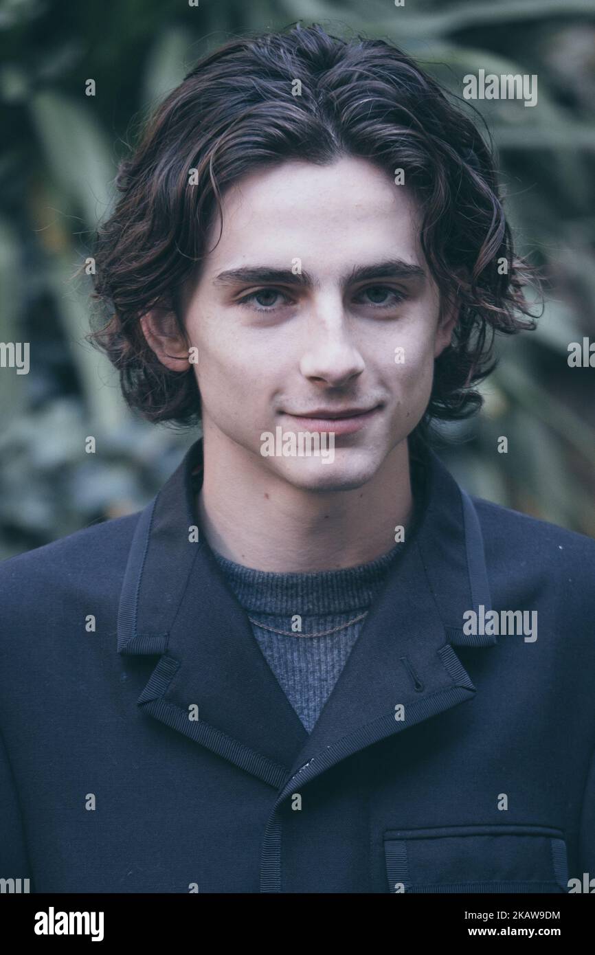 L'attore Timothee Chalamet partecipa alla fotocall 'Chiamami col tuo nome' all'Hotel De Russie il 24 gennaio 2018 a Roma. (Foto di Luca Carlino/NurPhoto) Foto Stock