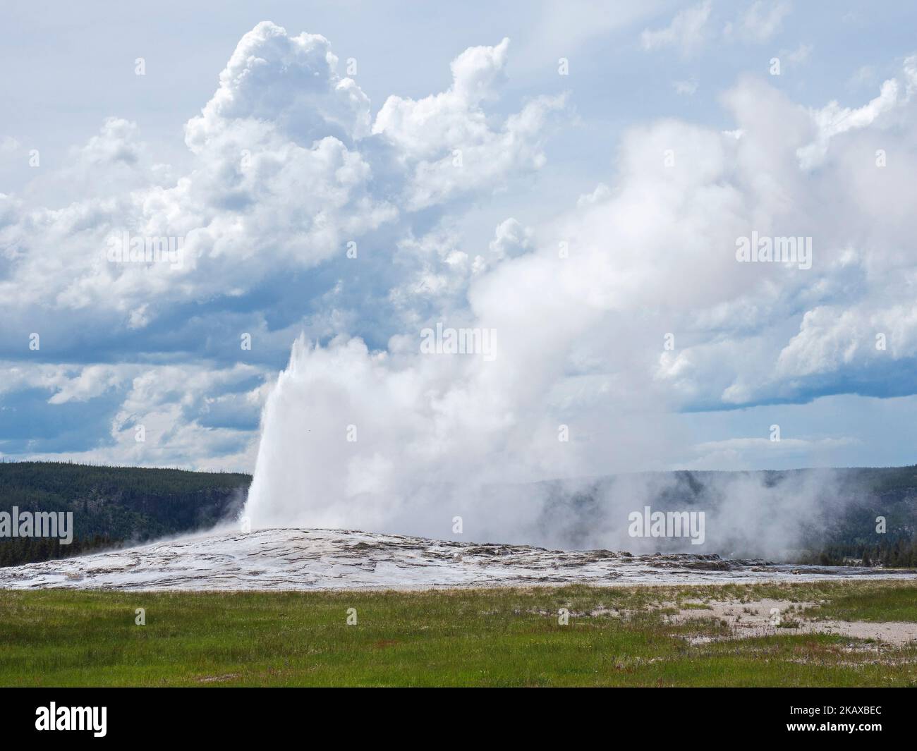 Vecchio fedele geyser erutting, Yellowstone National Park, Wyoming, giugno 2019 Foto Stock