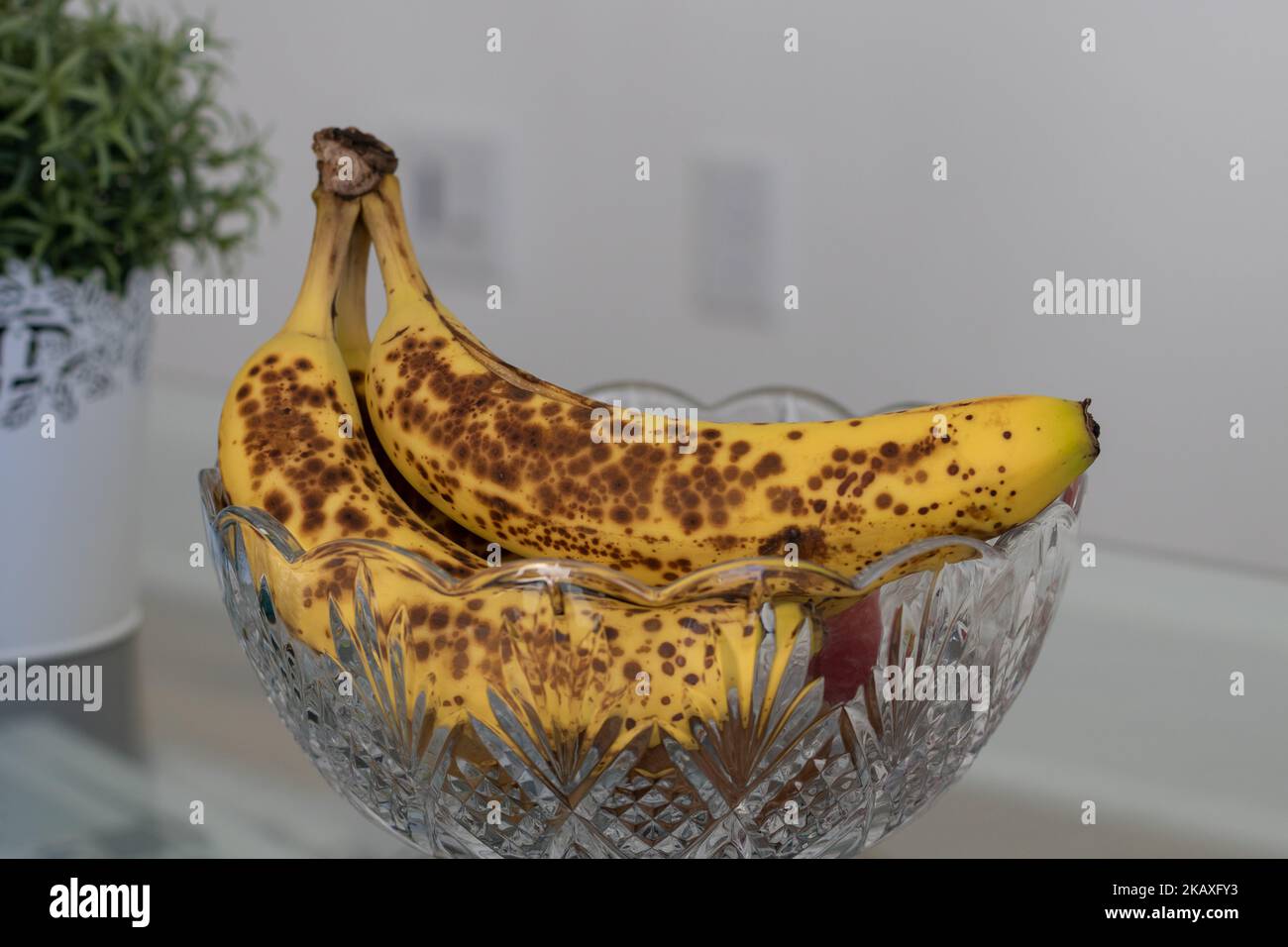 Vista ravvicinata delle banane completamente mature poste su un recipiente di frutta Foto Stock