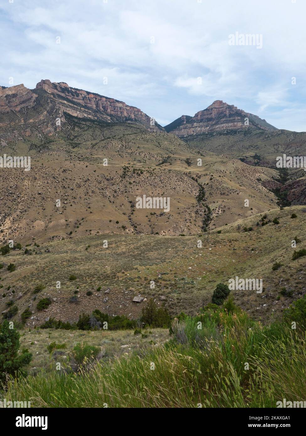 Crinale di montagna con Elephant's Head Rock, Sunlight Mesa e Pyramid Peak sopra Shell Canyon, Wyoming, USA, July2019 Foto Stock