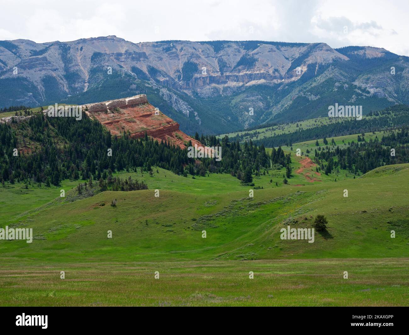 Cresta di montagna e rupe di arenaria rossa con pianure erbose dalla Chief Joseph Scenic Highway, Wyoming, USA, luglio 2019 Foto Stock