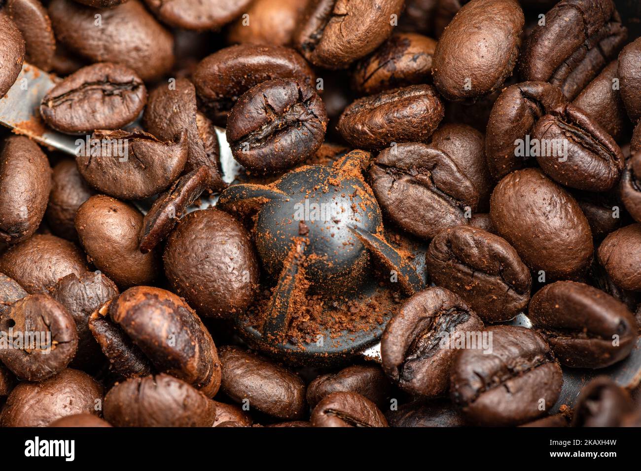 Primo piano dei chicchi di caffè in un macinacaffè elettrico. Nome completo. Foto Stock