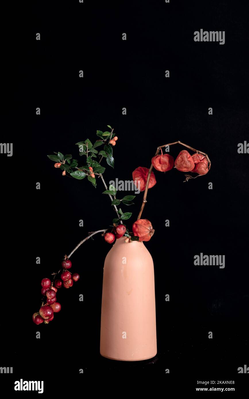 Bouquet di physalis in terracotta vaso. Foto Stock