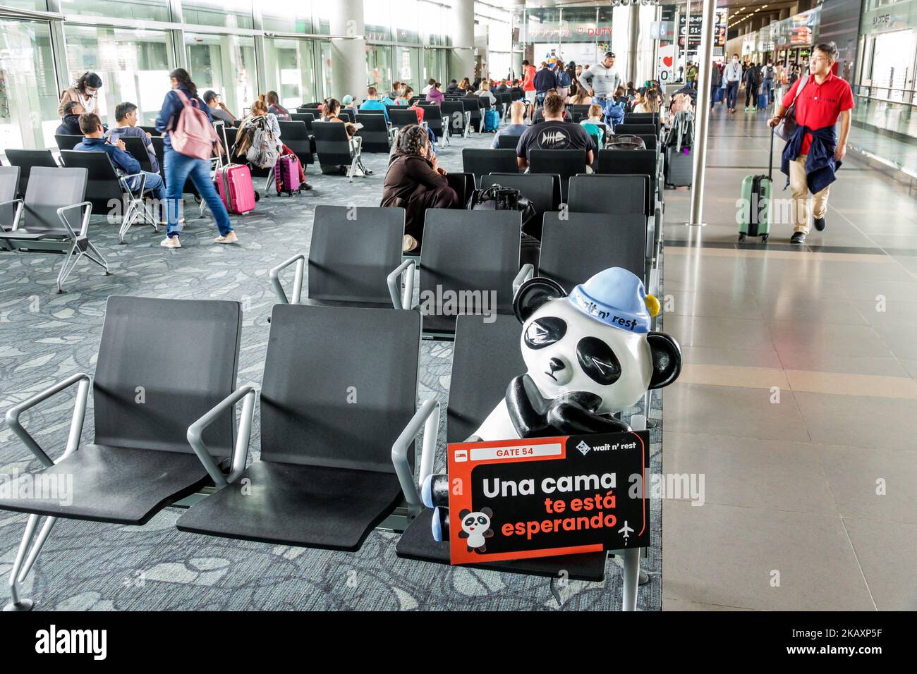 Bogotà Colombia, El Dorado Aeroporto Internazionale Aeropuerto Internacional El Dorado terminal concourse gate area interna, panda orso mascotte attendere Foto Stock