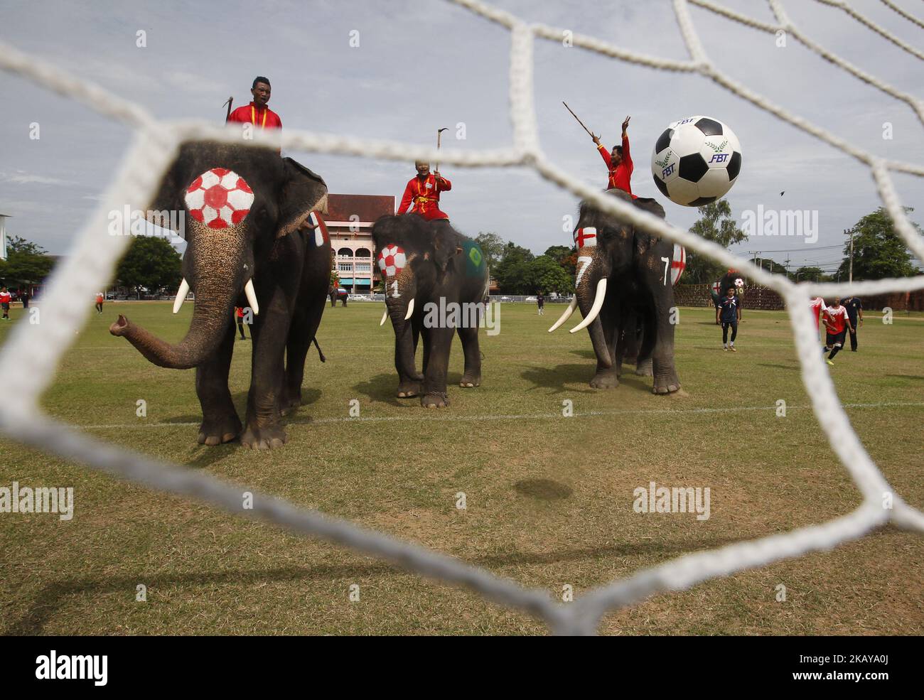 Gli elefanti giocano a calcio con studenti thailandesi in una scuola nella provincia di Ayutthaya in Thailandia 12 giugno 2018. La partita si è svolta nell'ambito di una campagna per promuovere la Coppa del mondo 2018 e anche per scoraggiare il gioco d'azzardo durante la competizione. (Foto di Chaiwat Subprasom/NurPhoto) Foto Stock