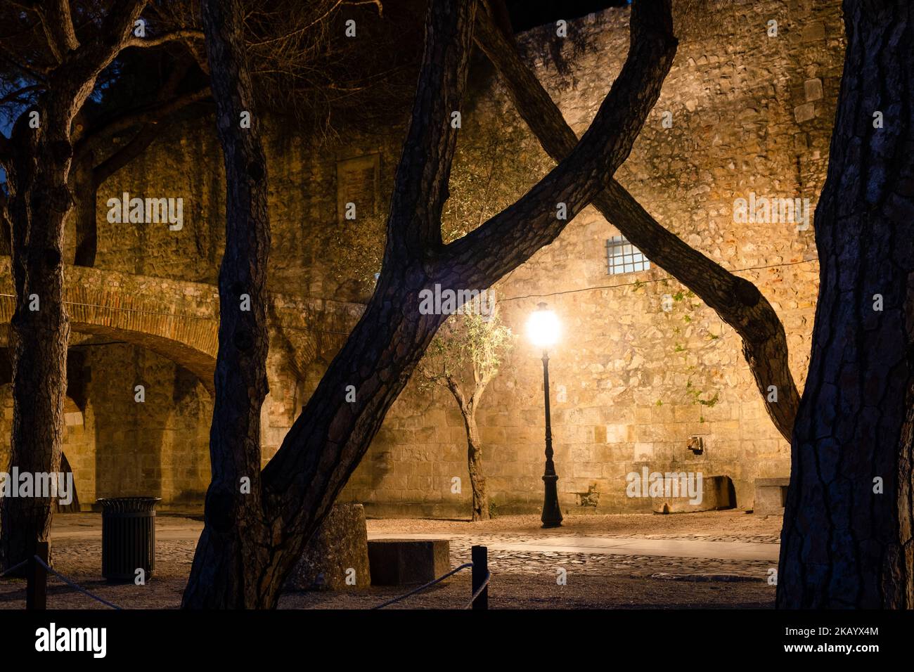 SPAVENTOSO, ALBERI, NOTTE, CASTELLO: Come una copertina di un libro al Castelo de S. Jorge (Castello) di Lisbona di notte, Portogallo, marzo 2022. Foto di Rob Watkins Foto Stock