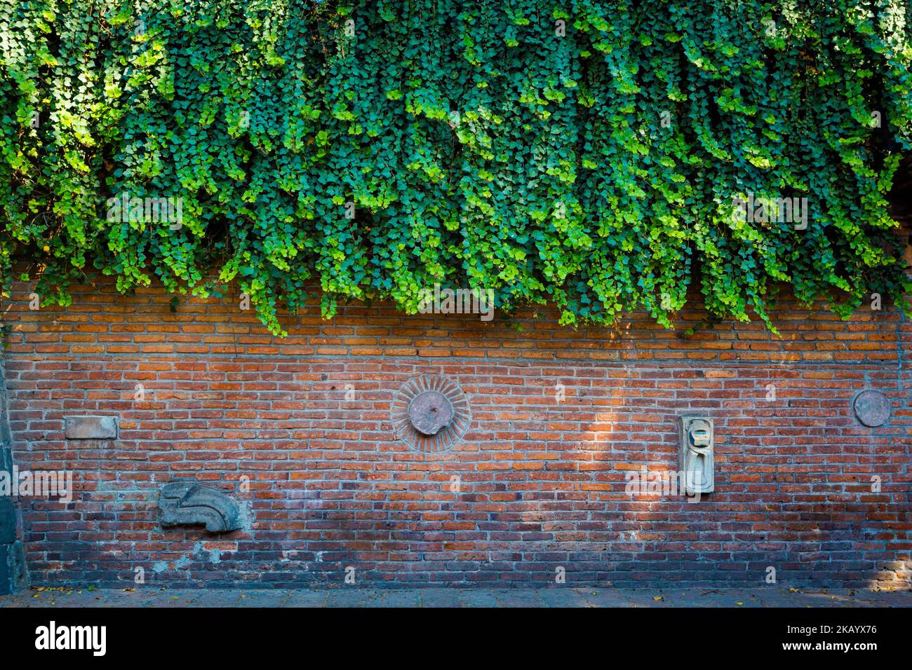 Bella architettura del famoso quartiere Coyoacan a Ciudad de Mexico. Foto Stock