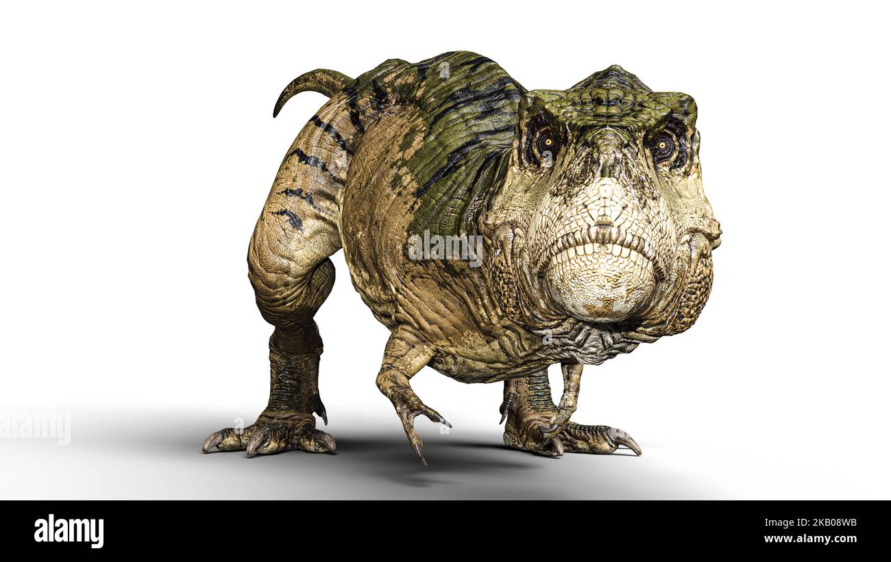 Da vicino e personale con il re di tutti i dinosauri, Tyrannosaurus REX! Foto Stock