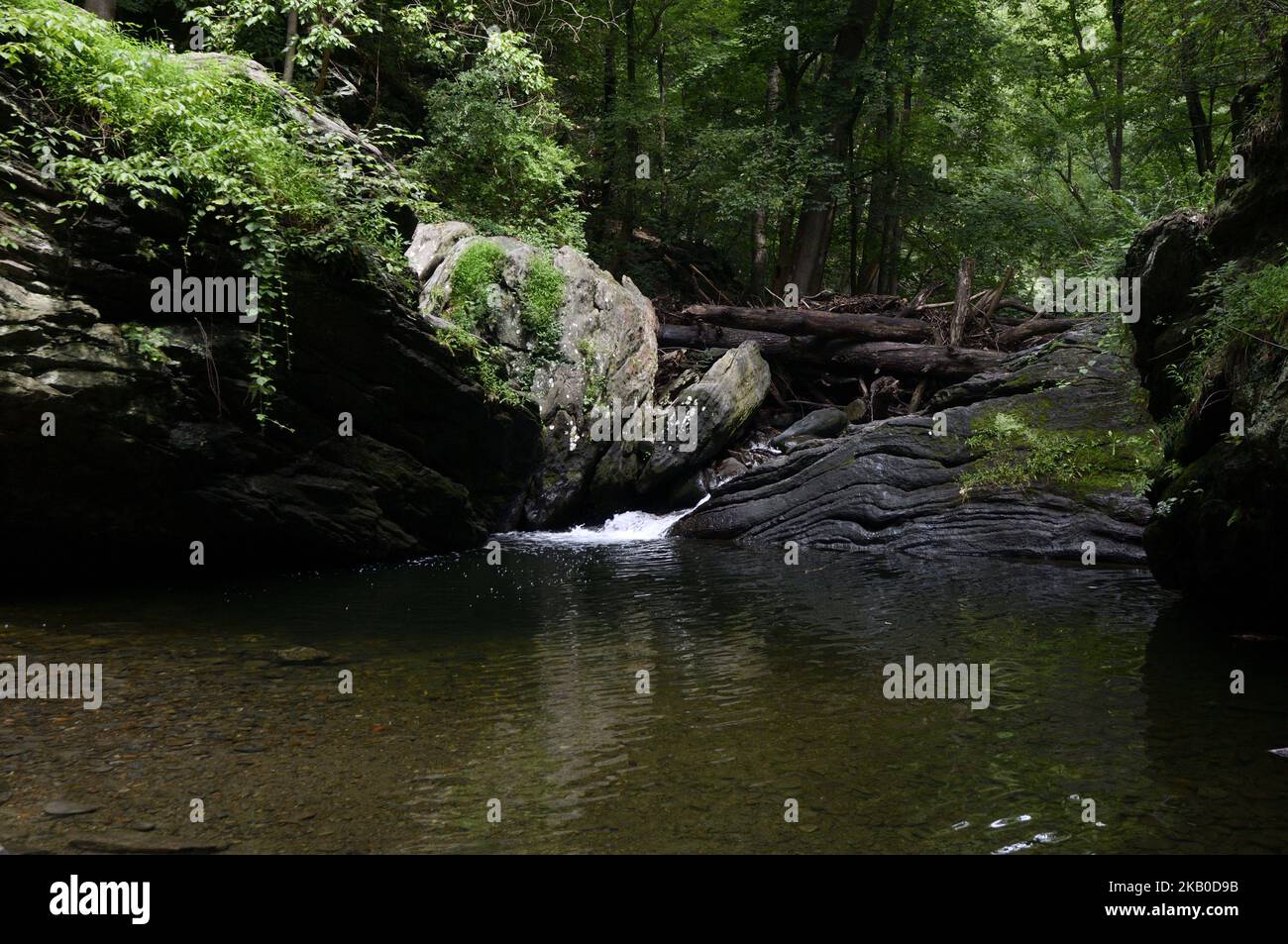 Vista sulla piscina Devils nella Wissahickon Valley, a Philadelphia, Pennsylvania, il 18 agosto 2018. La gente del posto trova il luogo di nuoto illegale chiuso dalle autorità a causa di problemi di sicurezza pubblica. Il popolare luogo di nuoto naturale situato vicino al punto in cui il Cresheim Creek contribuisce al Wissahickon Creek e i sentieri circostanti saranno chiusi per i restanti fine settimana dell'estate. (Foto di Bastiaan Slabbers/NurPhoto) Foto Stock