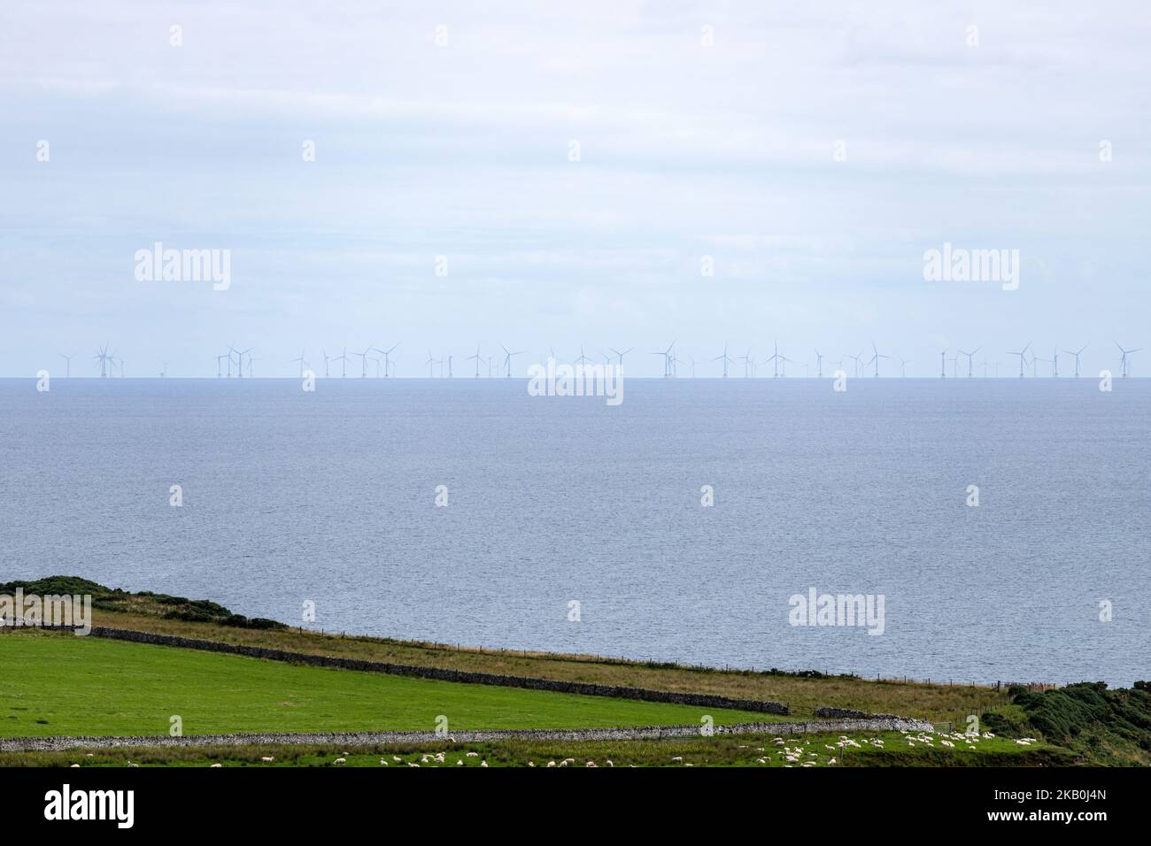Offshore-Windpark Beatrice da Latheron, Highland, Scozia, Regno Unito Foto Stock
