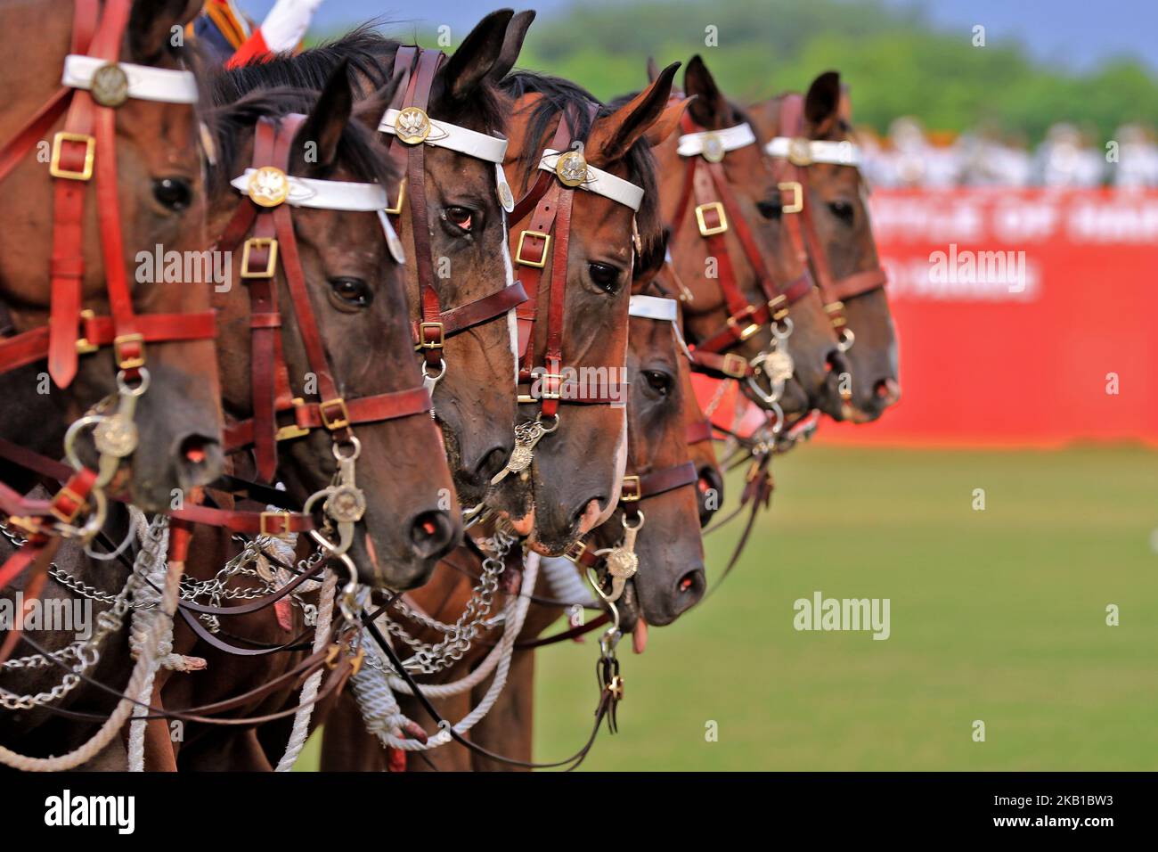 I soldati dell'esercito indiano marciano in parata montata con i loro cavalli durante la celebrazione centenaria della battaglia di Haifa 1918-2018 , a 61 campo di cavalleria a Jaipur,Rajasthan,India, settembre 22, 2018.Haifa Day è celebrata ogni anno per celebrare la liberazione di Haifa da parte di Cavalleria carica montata dai soldati indiani guidati dal maggiore Dalpat Singh il 23rd settembre 1918 dall'occupazione dei turchi.(Foto di Vishal Bhatnagar/NurPhoto) Foto Stock