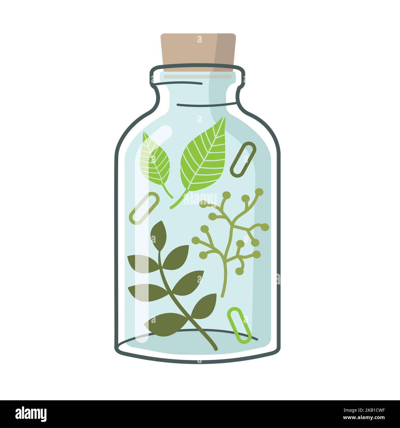 Illustrazione vettoriale di medicina alternativa. Rimedi di erbe in un vaso di vetro. Illustrazione Vettoriale