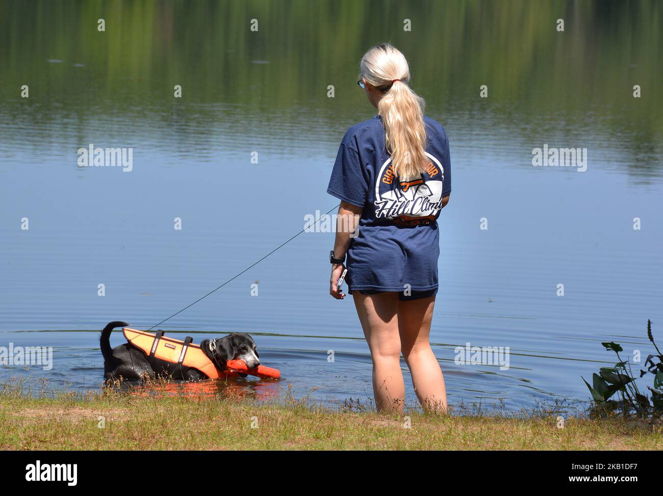 Acqua training.Girl formazione il suo cane a Moon Lake state Forest Recreation Area.Plymouth Township, Luzerne Co.Pennsylvania fetch e metodi di recupero. Foto Stock