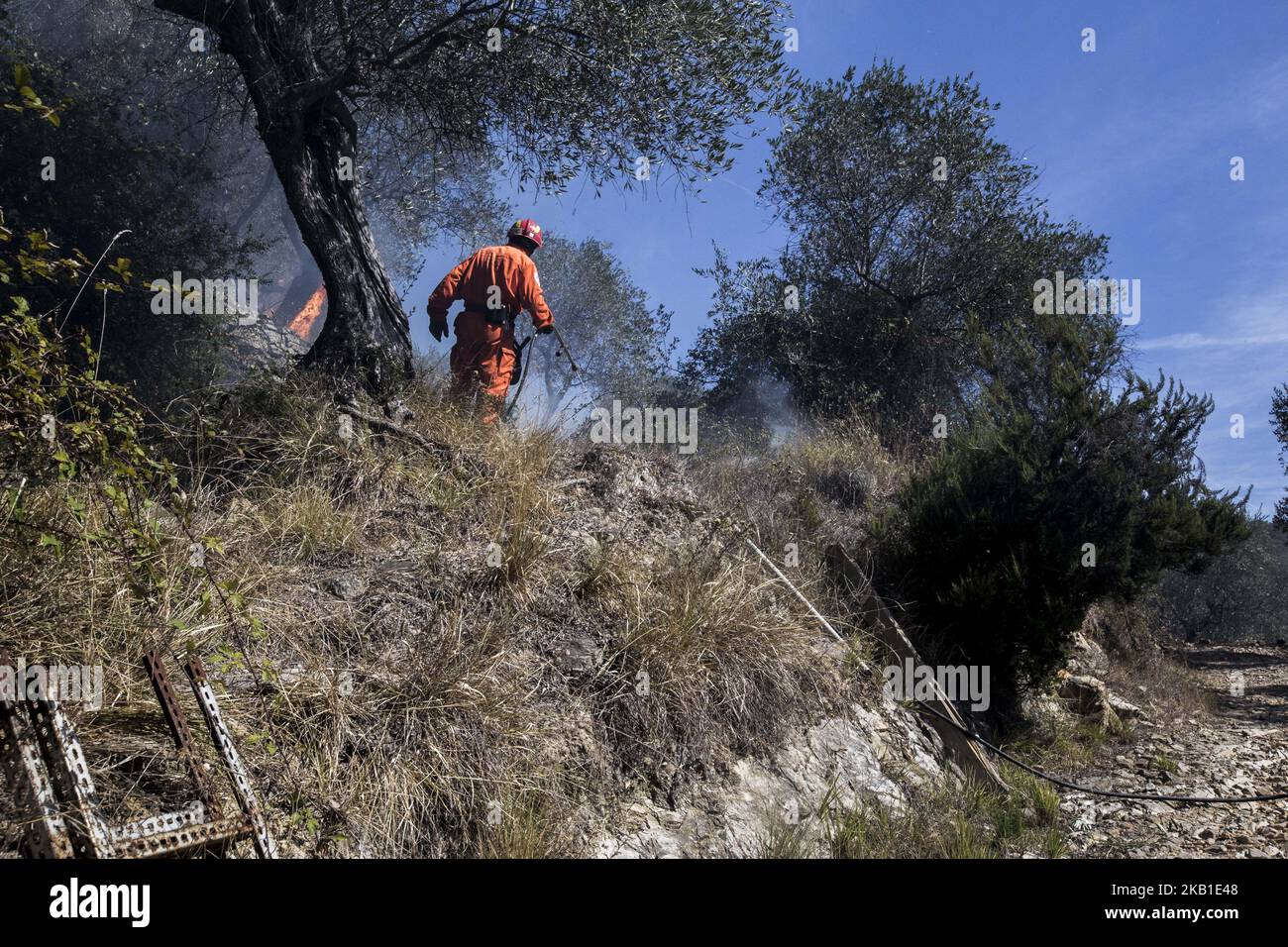 Le vigili del fuoco combattono un incendio boschivo nei pressi di una foresta da Pisa, Italia, il 25 settembre 2018. Un enorme incendio si è svolto nel Monte Serra, il monte sopra la cittadina di Calci, a pochi chilometri da Pisa. L'incendio si è verificato la notte tra il 24 e il 25 settembre. Al mattino, con l'aiuto del forte vento, si sposta da Calci a Uliveto raggiungendo in alcuni punti anche il fiume Arno. (Foto di Enrico Mattia del Punta/NurPhoto) Foto Stock