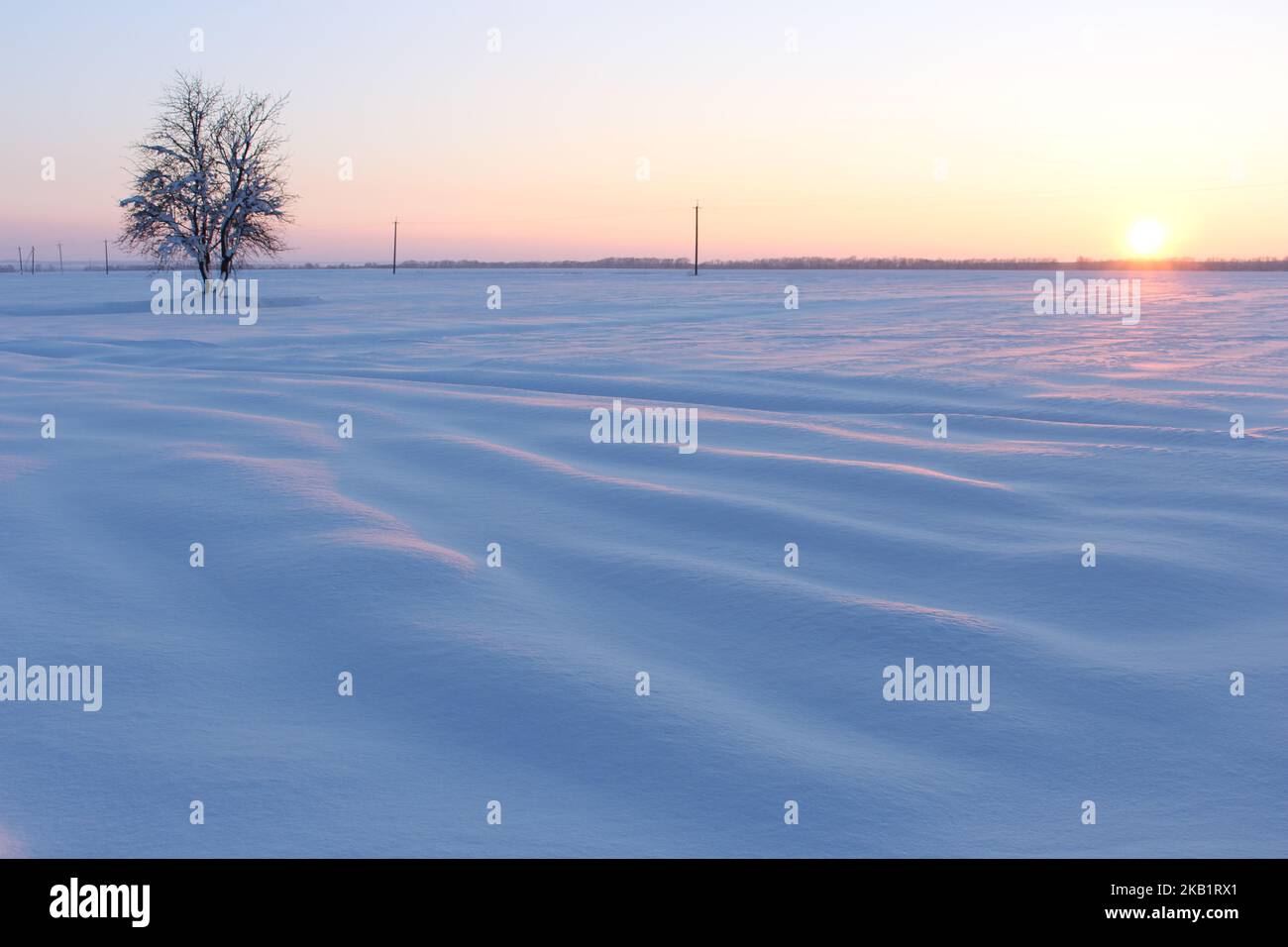 Bella immagine di albero solitario su un grande campo innevato Foto Stock