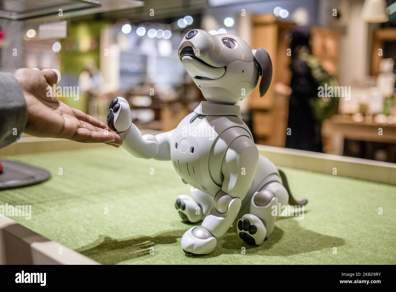 Il nuovo robot AIBO per animali domestici viene presentato nel