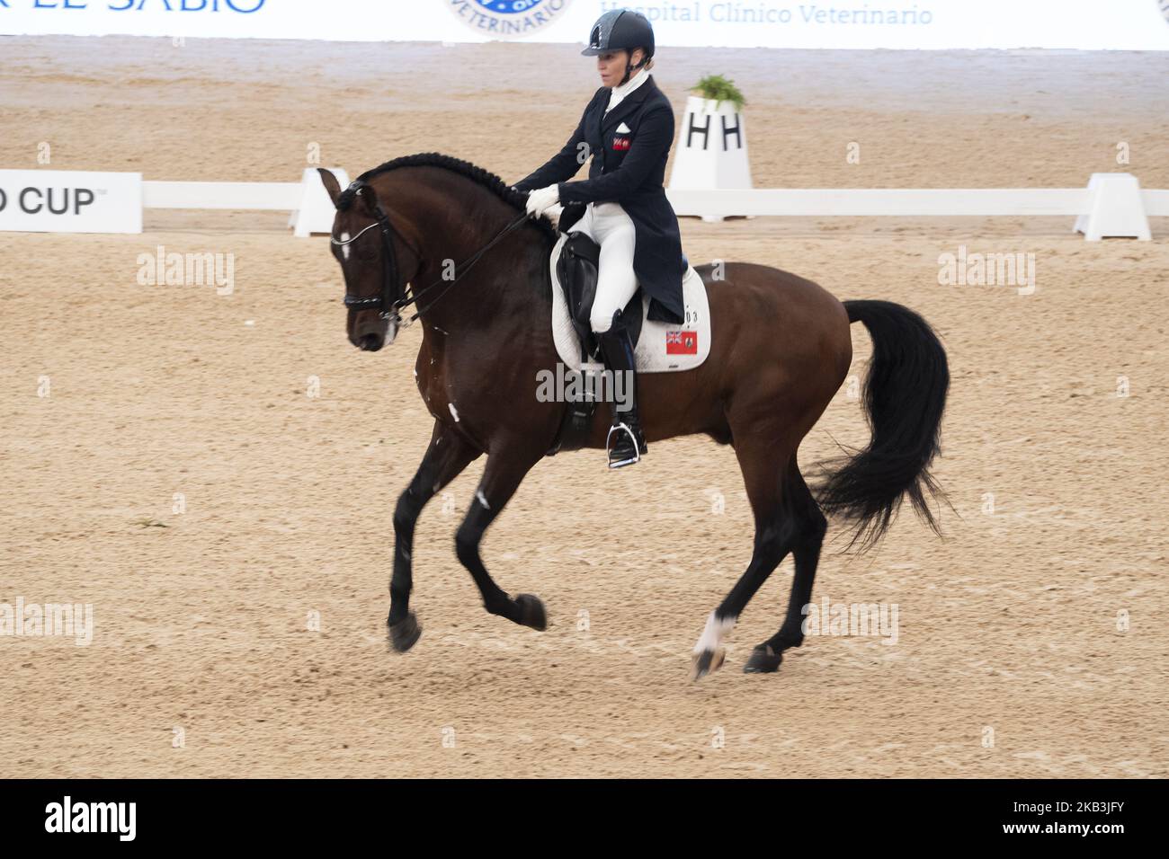 Cavaliere Dressage durante la Coppa del mondo di Dressage FEI a Madrid settimana del Cavallo all'IFEMA di Madrid, Spagna, 25 novembre 2018. La settimana del Cavallo di Madrid si svolge dal 23 al 25 novembre 2018 (Foto di Oscar Gonzalez/NurPhoto) Foto Stock