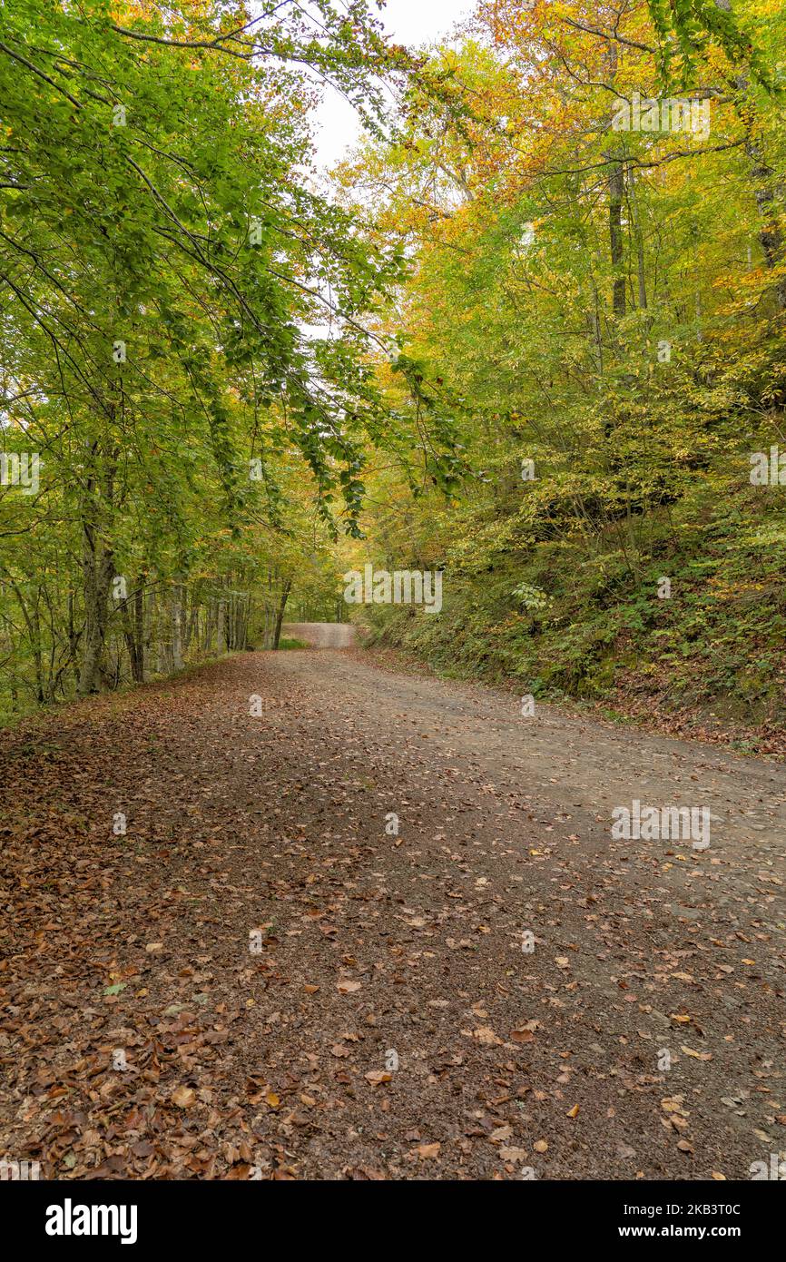 Strada pedonale da Soto de Sajambre al rifugio di montagna Vegabaño a Leon, Spagna Foto Stock