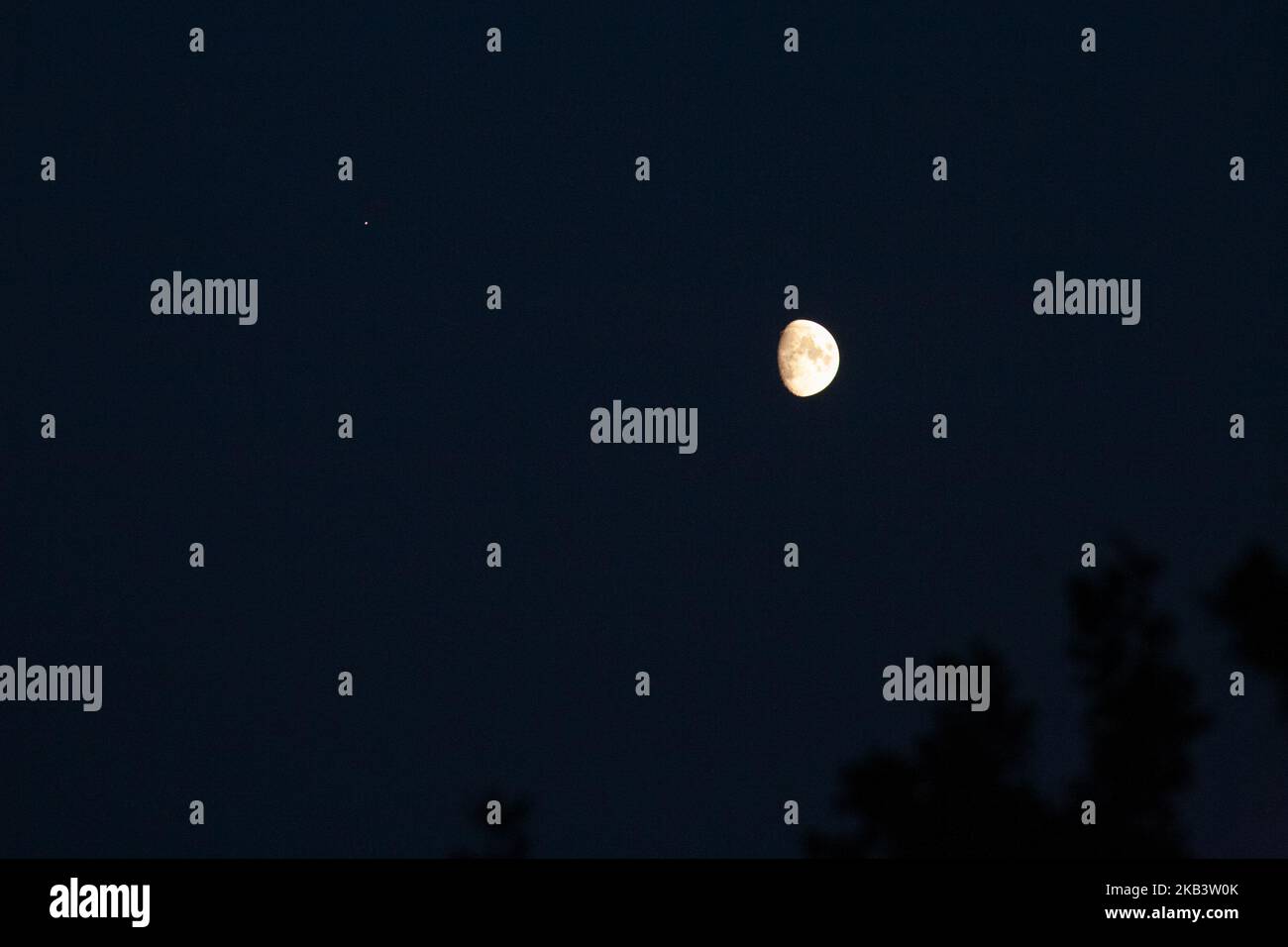 Vista panoramica della luna e della stella che splende sull'albero di notte Foto Stock