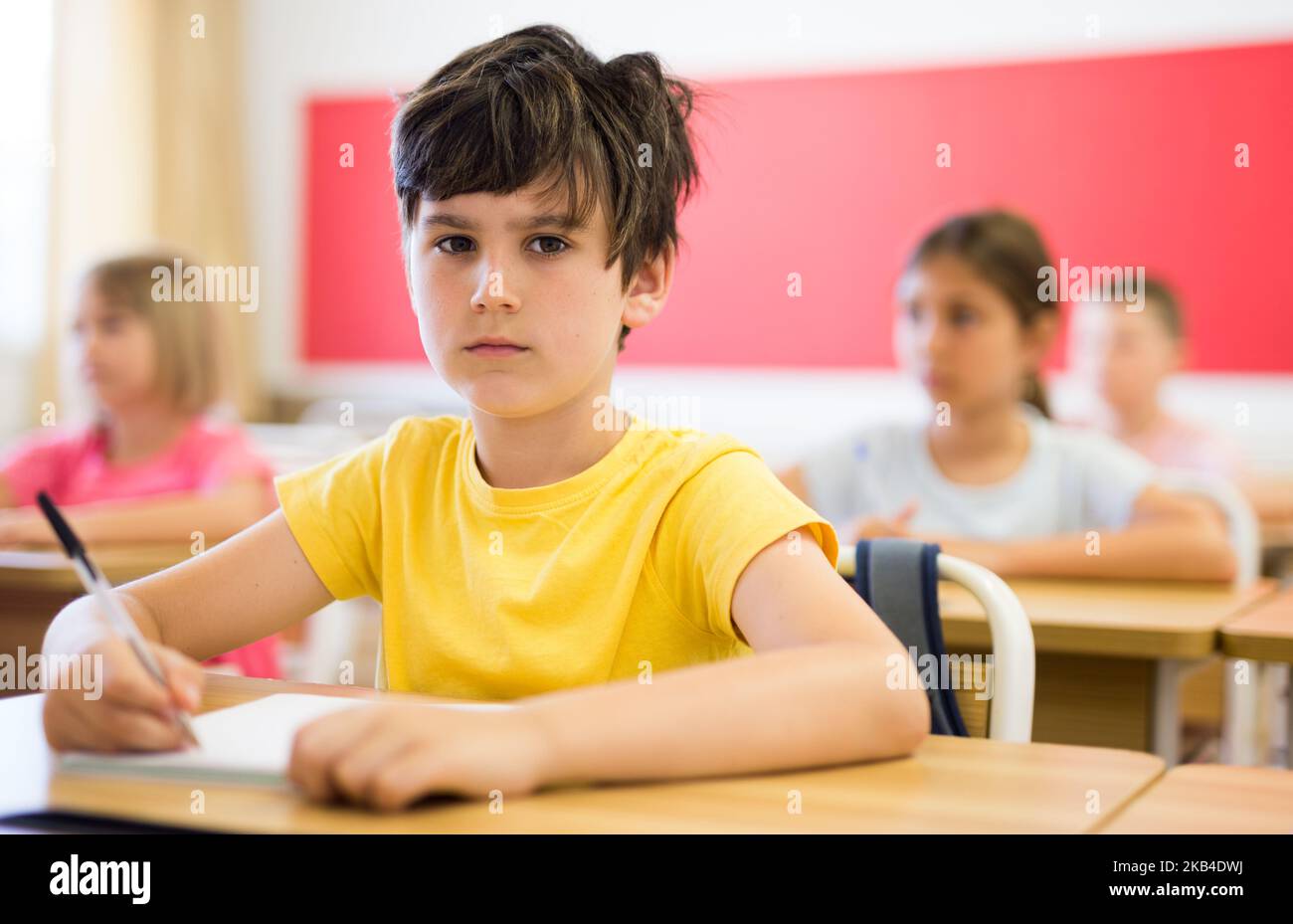 Diligente ragazzo preteen che studia con i compagni di classe a scuola Foto Stock