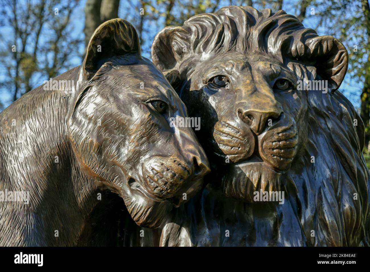 Born Free Forever è una mostra di 25 sculture in bronzo che celebrano il film e sensibilizzano la popolazione leone di tutto il mondo. Foto Stock