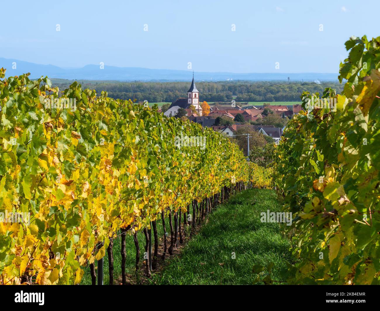 Il villaggio di Berrwiller in Francia nella valle dei vigneti lungo la strada del vino Alsazia. Foto Stock
