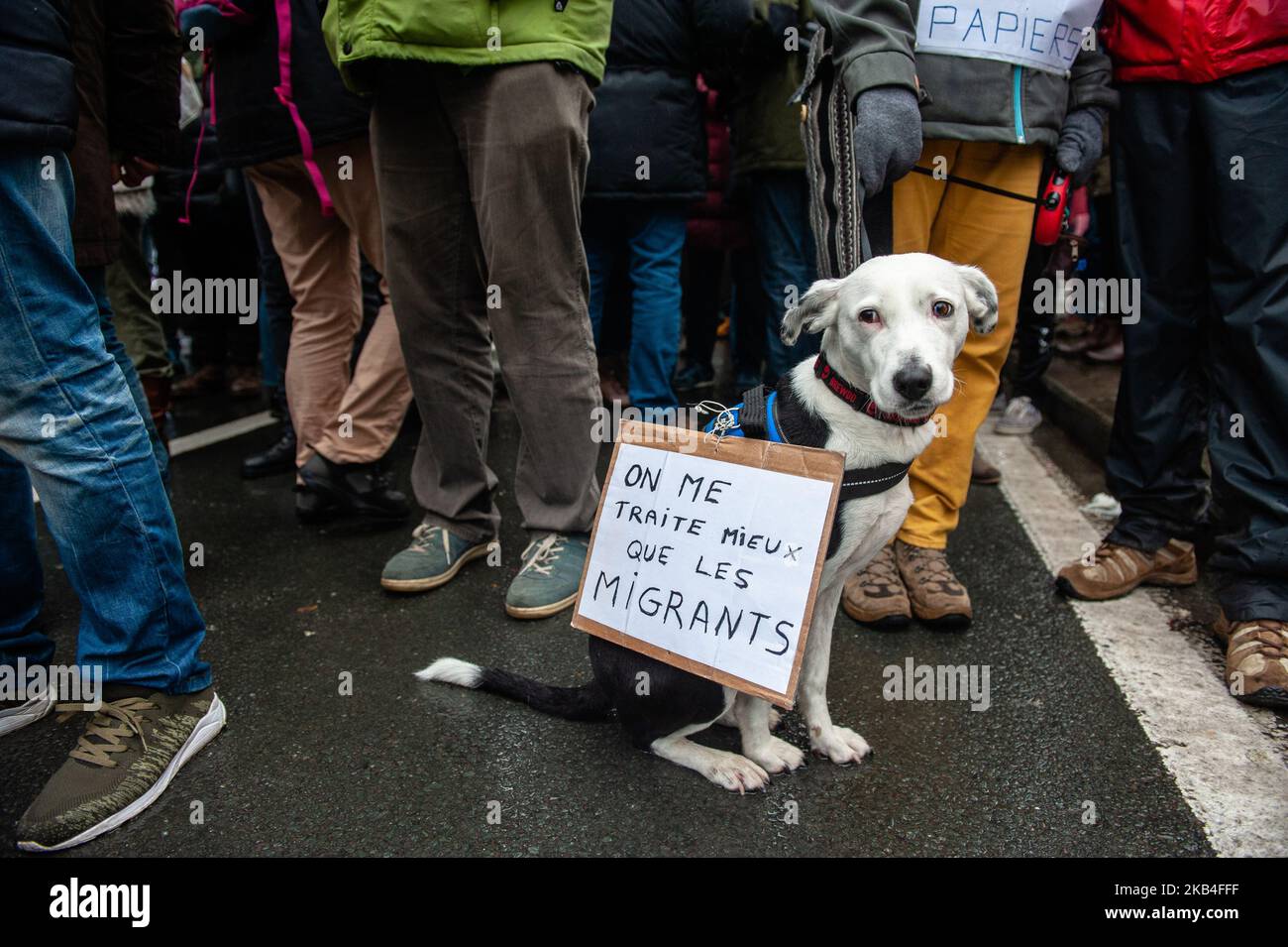 Gennaio 12th, Bruxelles. Circa 2500 persone hanno preso le strade di Bruxelles per protestare contro le politiche anti-migrazione del governo del primo ministro Charles Michel, del ministro degli interni Jan Jambon e dell'ex segretario di Stato per l'asilo Theo Francken. Con questa dimostrazione chiedono una condanna sistematica della violenza razzista, patriarcale e di polizia, la fine delle operazioni di polizia per fermare i migranti in luoghi pubblici o privati, la regolarizzazione di tutte le persone non documentate e l'apertura di corridoi umanitari per tutti i migranti che arrivano in Belgio. (Foto di Romy Arroyo Fernandez/NurPhoto) Foto Stock