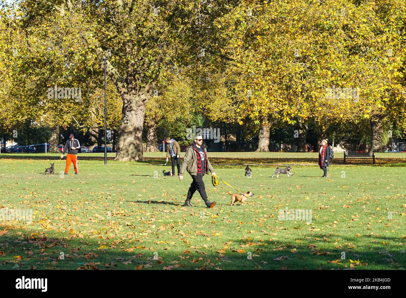Dog Walkers godersi la giornata autunnale di sole nel parco di London Fields a Hackney, Londra Inghilterra Regno Unito Foto Stock